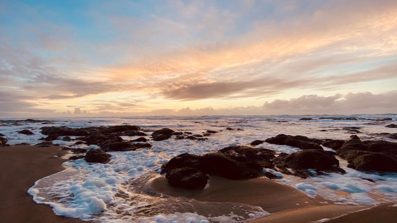 Seahorse Oceanfront Lodging Лінкольн-Сіті Екстер'єр фото